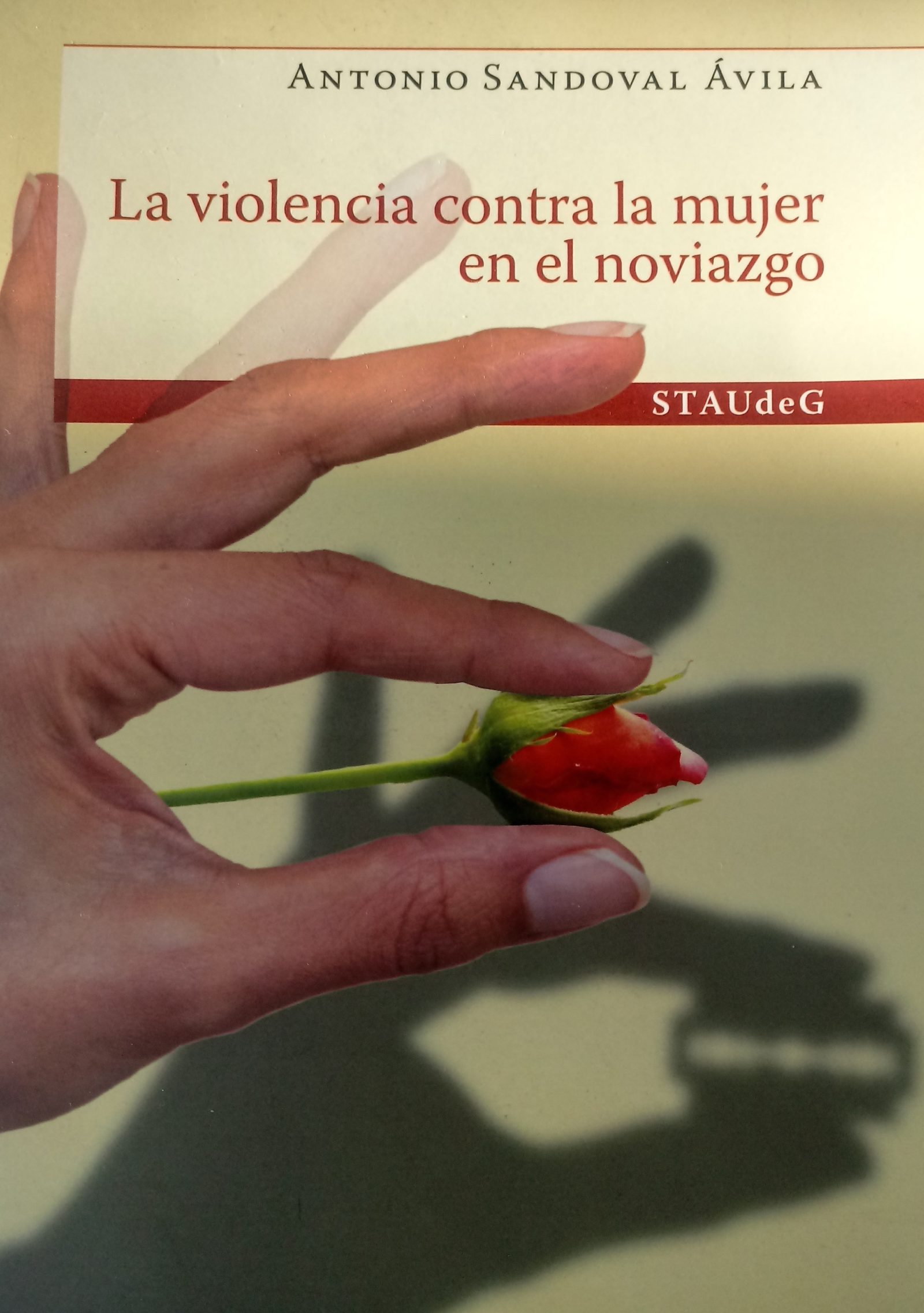 Libro violencia contra la mujer Asociación Sociología Castilla La